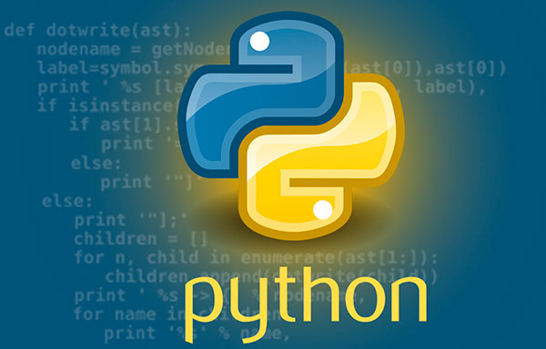 Курс Python: чем отличается от других языков и почему стоит изучать